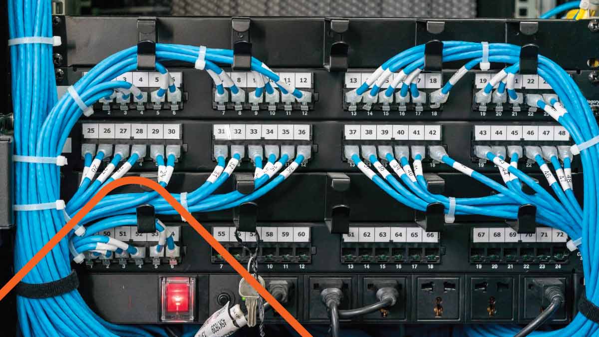 Blue network cables in server